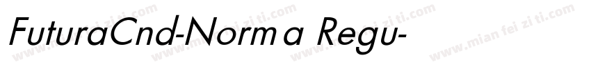 FuturaCnd-Norma Regu字体转换